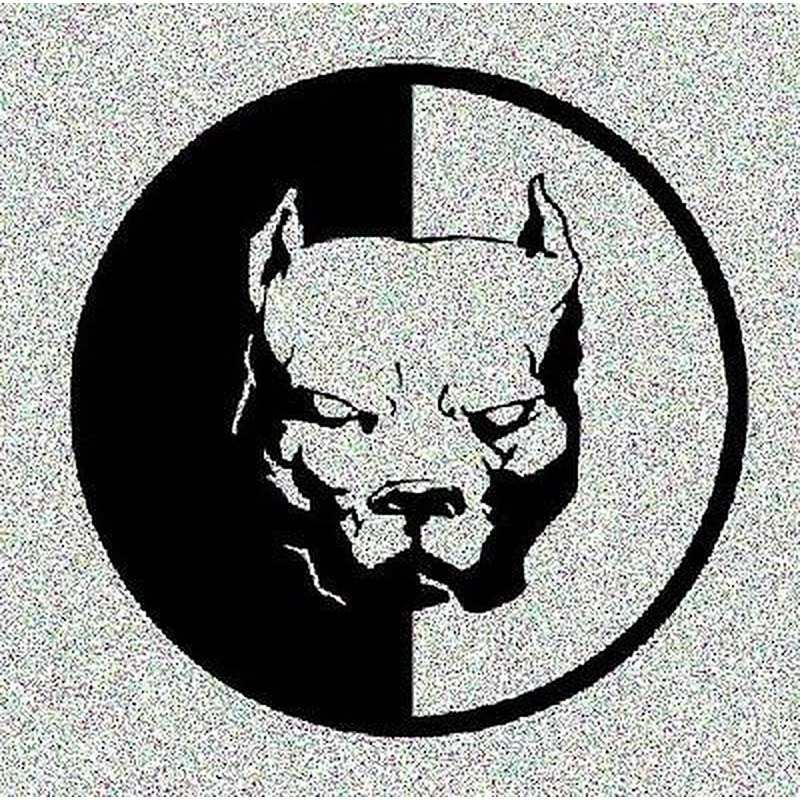 Custom car sticker, car body sticker, vinyl sticker for car