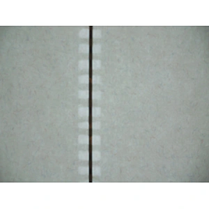 Supply all kinds of  Watermark paper
