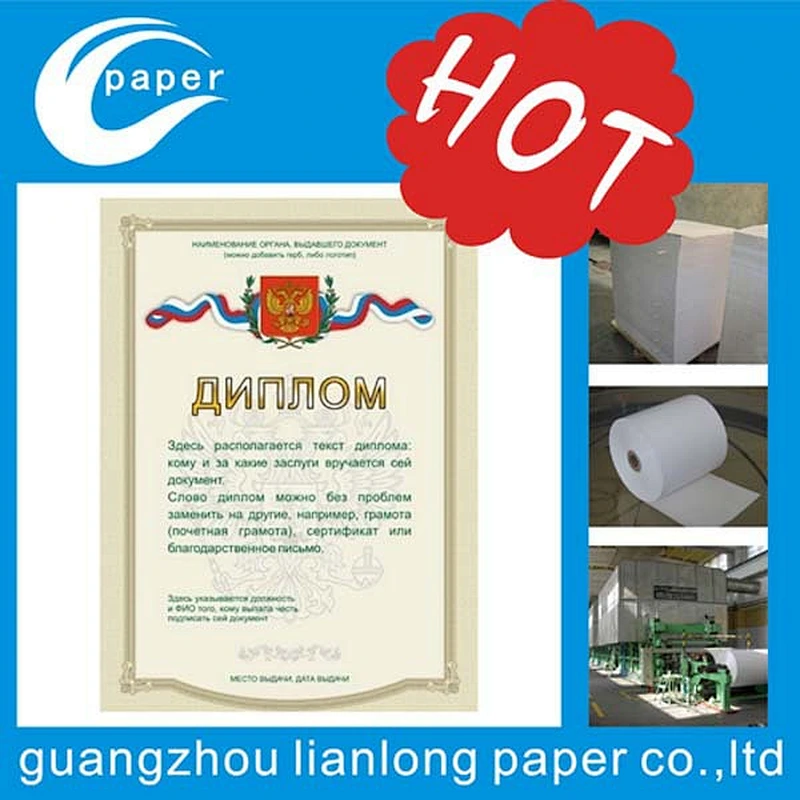 High quality certificate paper for printing China factory