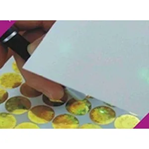 Hidden image encryption security hologram label