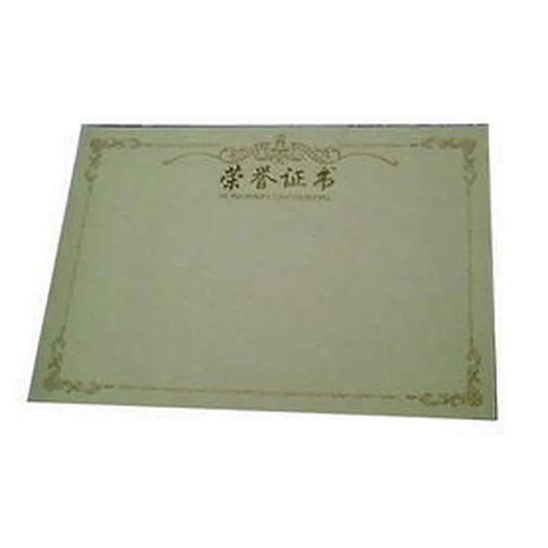 Custom printed school company degree certificate