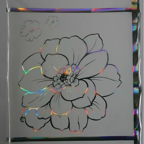 CMYK color printing certificate hologram Printing