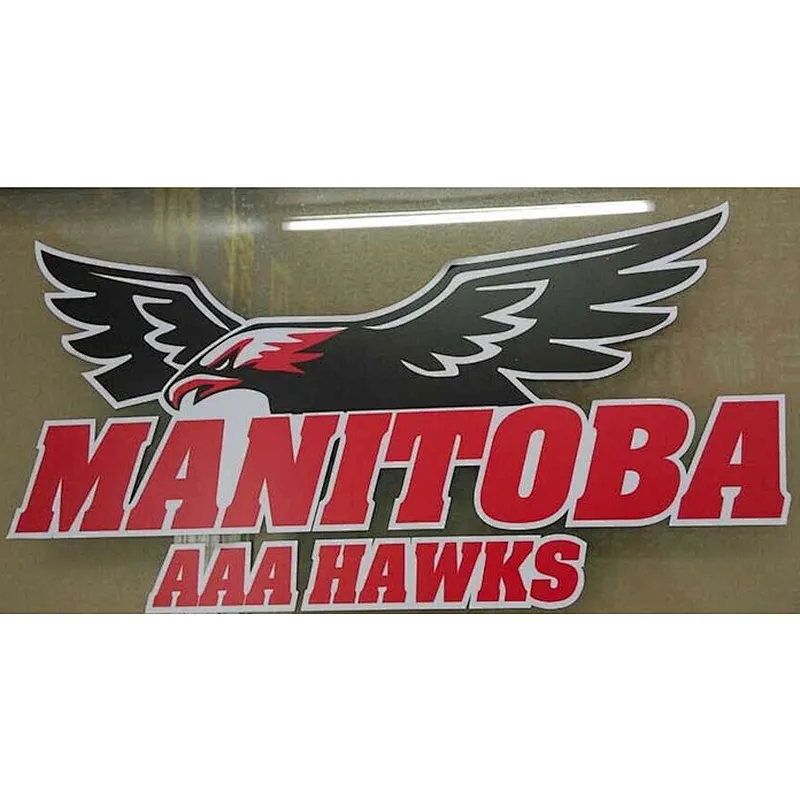 heat & UV resistant custom bumper car sticker