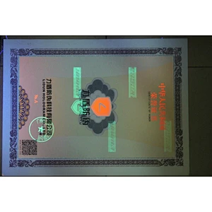 Custom printed school company degree certificate