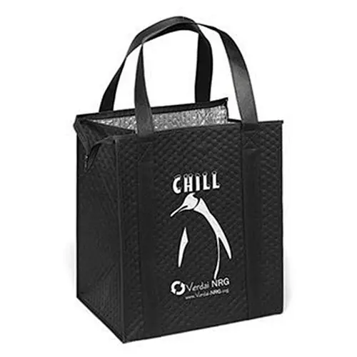 Pp Lamination Advertising Non Woven Cooler Bag Storage Box