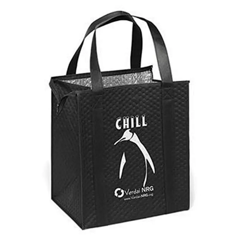 Pp Lamination Advertising Non Woven Cooler Bag Storage Box