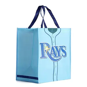 Shopping Cart Bag Polyester Recycled Biodegradable Bag Making Machine