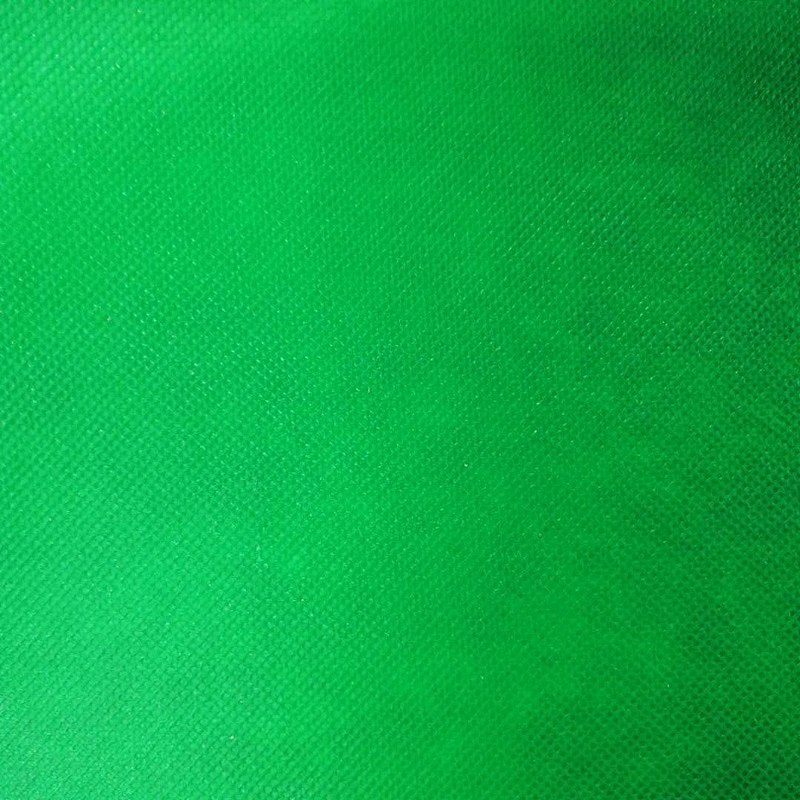 2019 HOT  sale Guangzhou PP nonwoven fabric for bag shoe ect