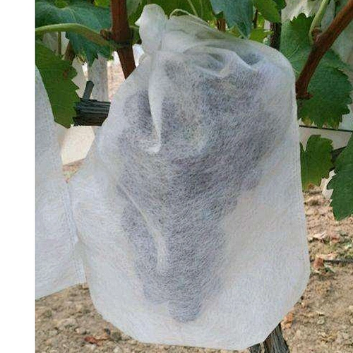 nonwoven protection fabric/pp non woven weed barrier/nonvowen spunbonded agriculture fabric