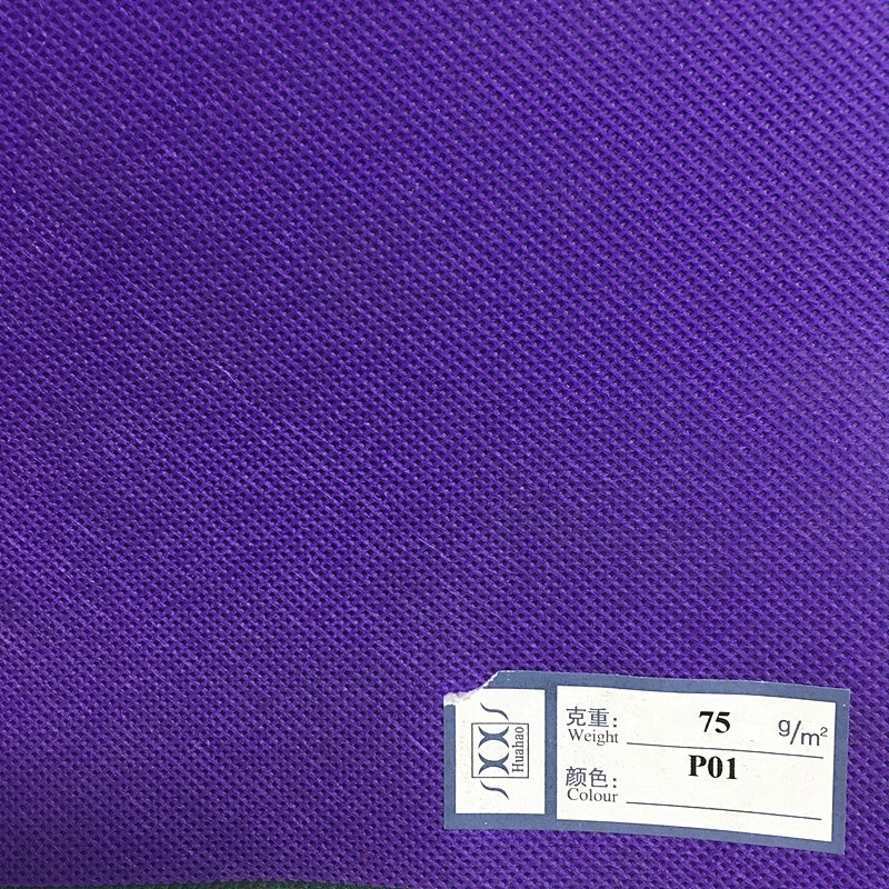 Spun-Bonded Nonwoven Technics and 100%Polypropylene Non Slip Sofa Upholstery Nonwoven Fabric