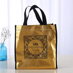 nonwoven laminated bag/eco friendly non-woven bag/fashionable shopping non woven pp bag