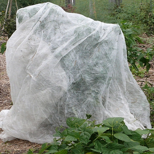 2019 Guangzhou non woven fabric for agriculture