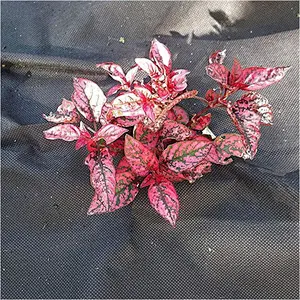 Nonwoven Fabric Safety Disposable Protective Coveralls for Agriculture