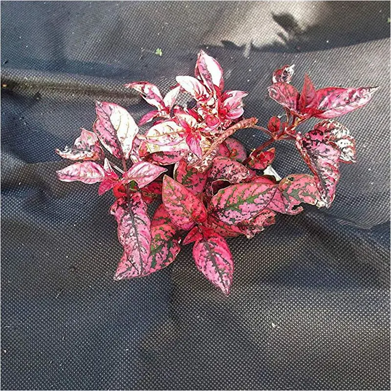Nonwoven Fabric Safety Disposable Protective Coveralls for Agriculture