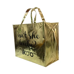 Pp Sounbonded Nonwoven Bags  Foldable Promotional Custom Logo Bag Pe Film