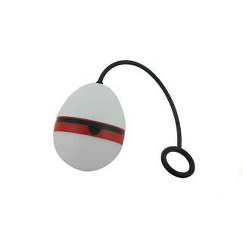 LED Egg Light