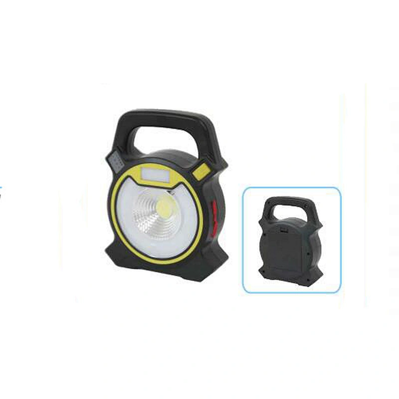 COB flood light