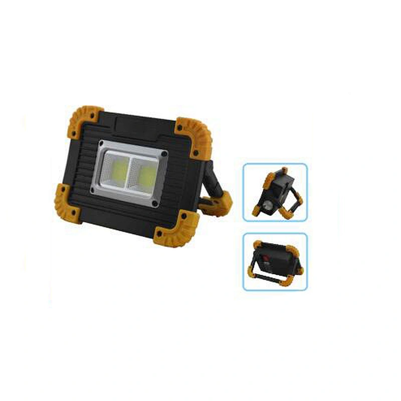 6W COB flood light