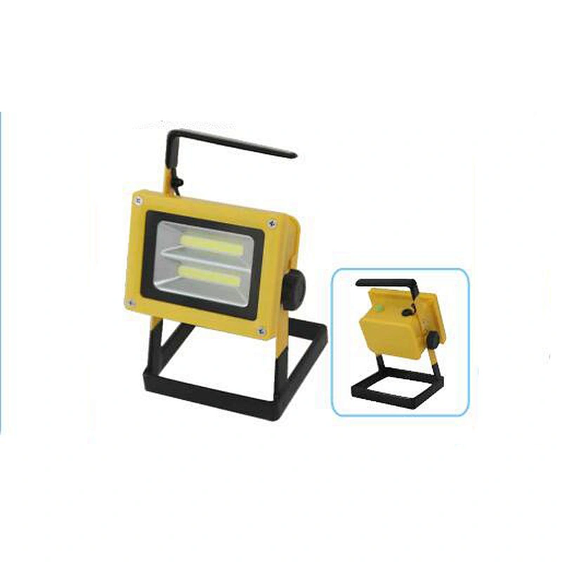COB flood light
