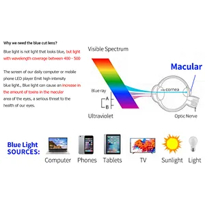 Import Glasses Anti Blue cut Light Optical Lens