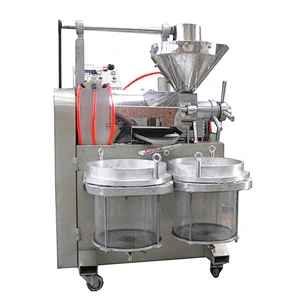 Mini  oil press machine with vacuum filter