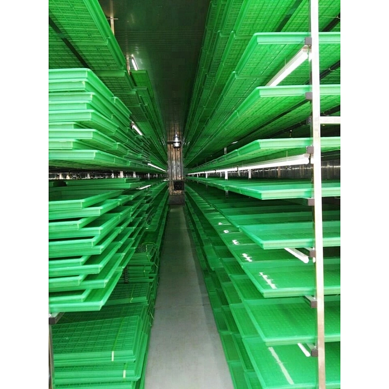 HP-1500H Farming hydroponic barley grass fodder growing system for cattle, goats, sheep, rabbits, livestock