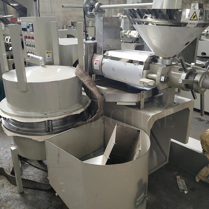 New design screw cold oil press machine with feeder and filter