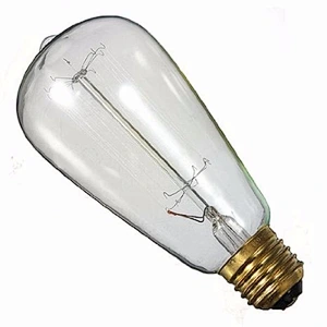 Vintage Retro Edison Bulb ST64 19AK Squirrel cage