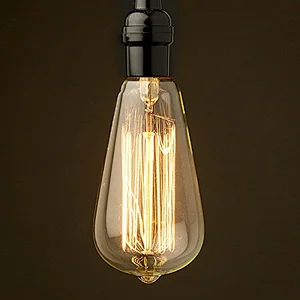 Vintage Retro Edison Bulb ST64 19AK Squirrel cage