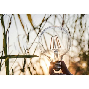 Bombillas E27 LED Filament Light Retro Edison Lamp Bulb 220V G95 2W 4W 6W 8W Lampada LED Edison Light Chandelier Bulb
