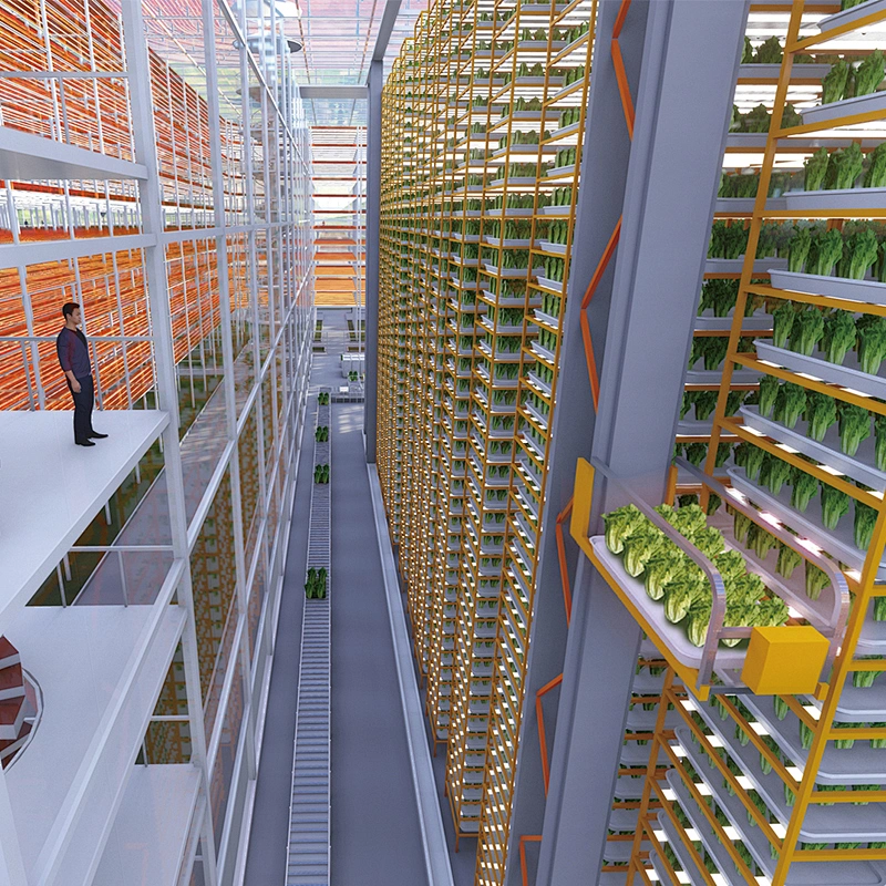 Vertical Hydroponic Shipping Farming Container Fodder System from China ...