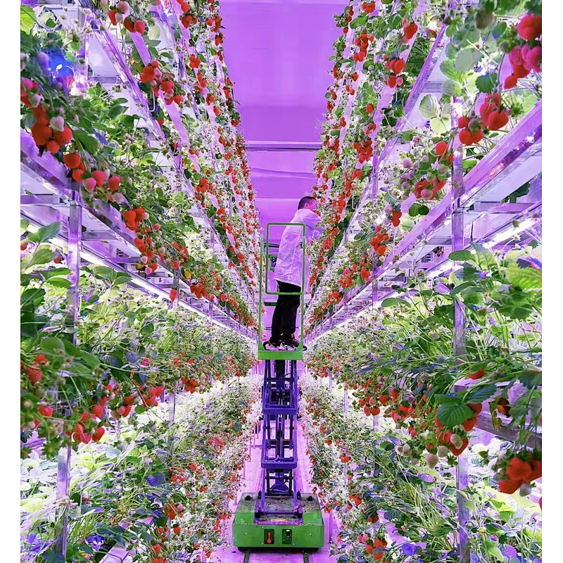 Container Farm House Vertical Shipping Farming Container Hydroponics ...