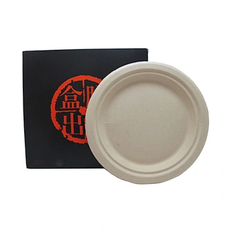 Customized carton kraft packaging box for plates