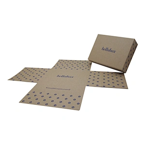 Dongguan Single Wall Corrugated Carton Box for Packaging