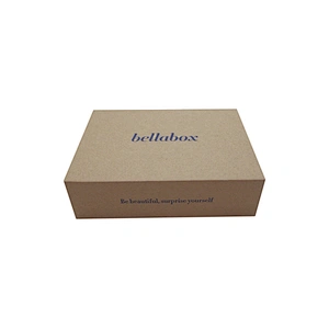 Dongguan Single Wall Corrugated Carton Box for Packaging