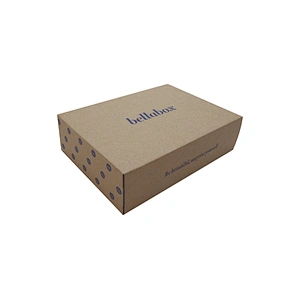Dongguan Single Wall Corrugated Carton Box for Packaging