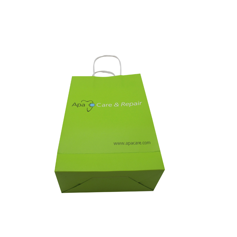China suppliers green paper shopping gift bag with handle