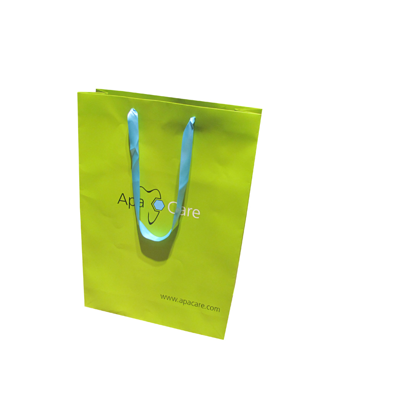 China suppliers green paper shopping gift bag with handle