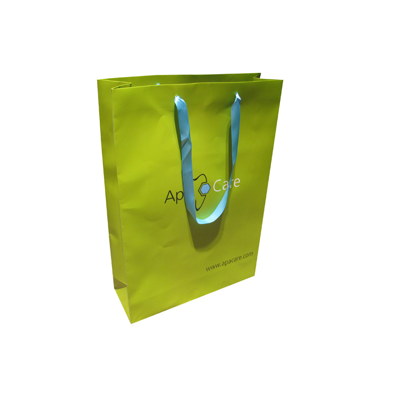 China suppliers green paper shopping gift bag with handle