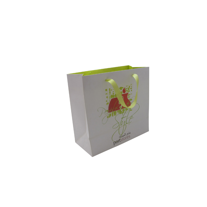 gift bag shopping bag