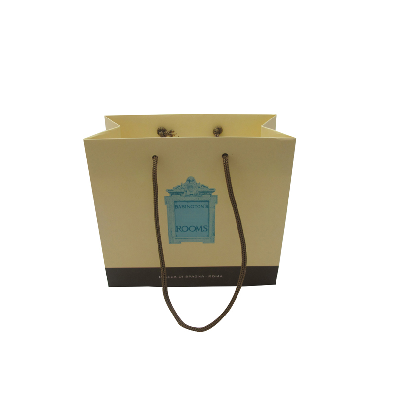 Dongguan customized new design guangzhou paper bags