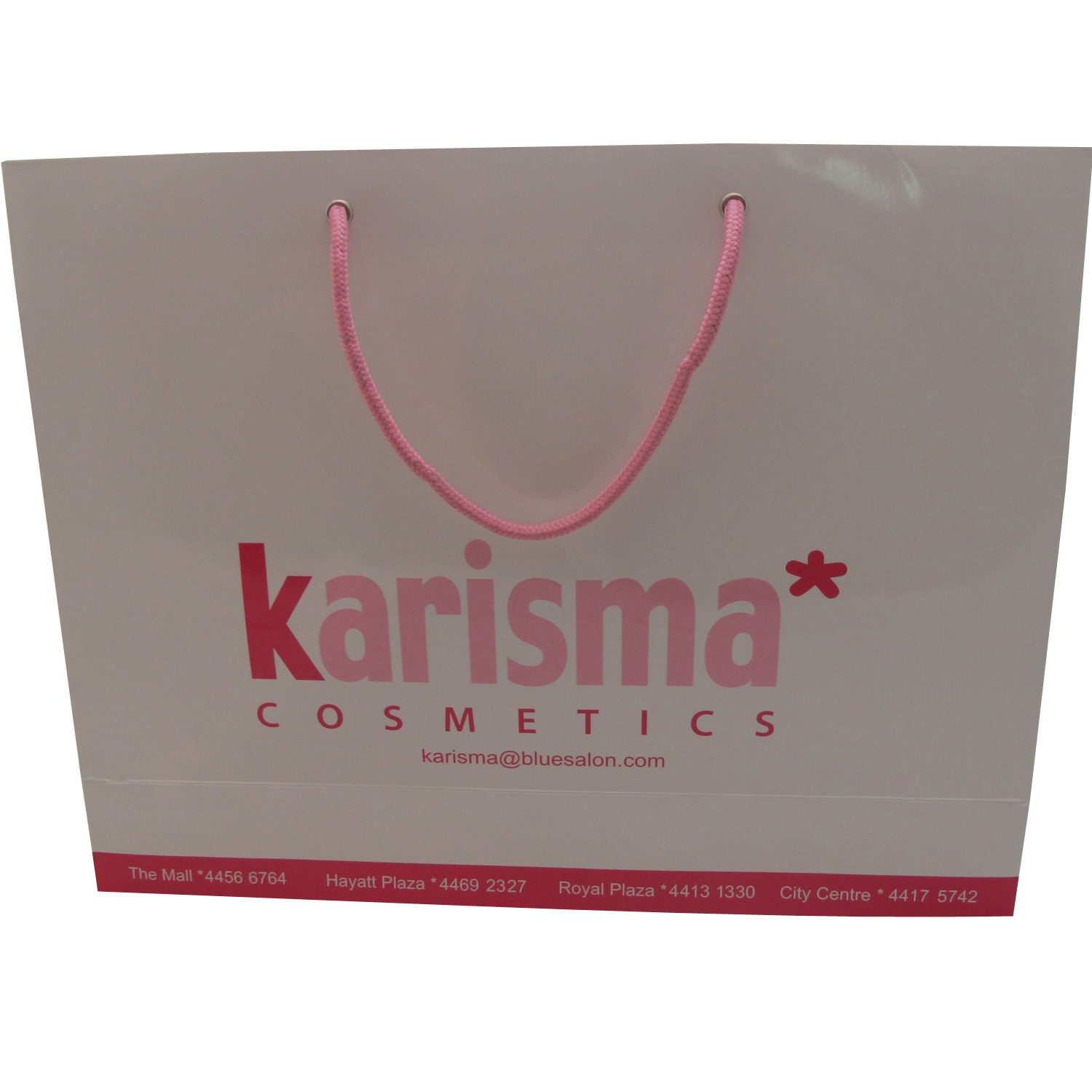 Wholesale Custom Paper Bag Luxury Packaging Bag Gift Bag With Cotton Rope