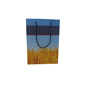 Custom Shopping Bags with Handles - Wholesale Gift Packing Bag