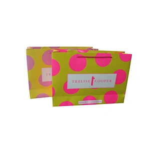 Custom Eco-Friendly Custom Paper Bag for Shopping