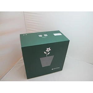Custom Cupcake Green Paper Luxury Box