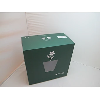 Custom Cupcake Green Paper Luxury Box