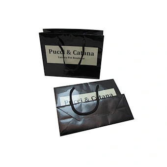 Printed Your Own Logo Unique Small Gift Paper Bags with Nylon