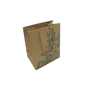 Custom Logo Eco-Friendly Wholesale Brown Kraft Paper Bag with Twist Handle