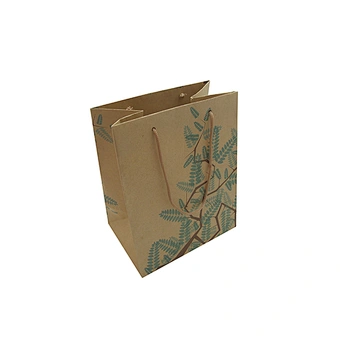 Custom Logo Eco-Friendly Wholesale Brown Kraft Paper Bag with Twist Handle