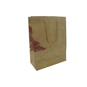 Custom Logo Eco-Friendly Wholesale Brown Kraft Paper Bag with Twist Handle